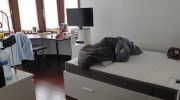Pandfoto 2